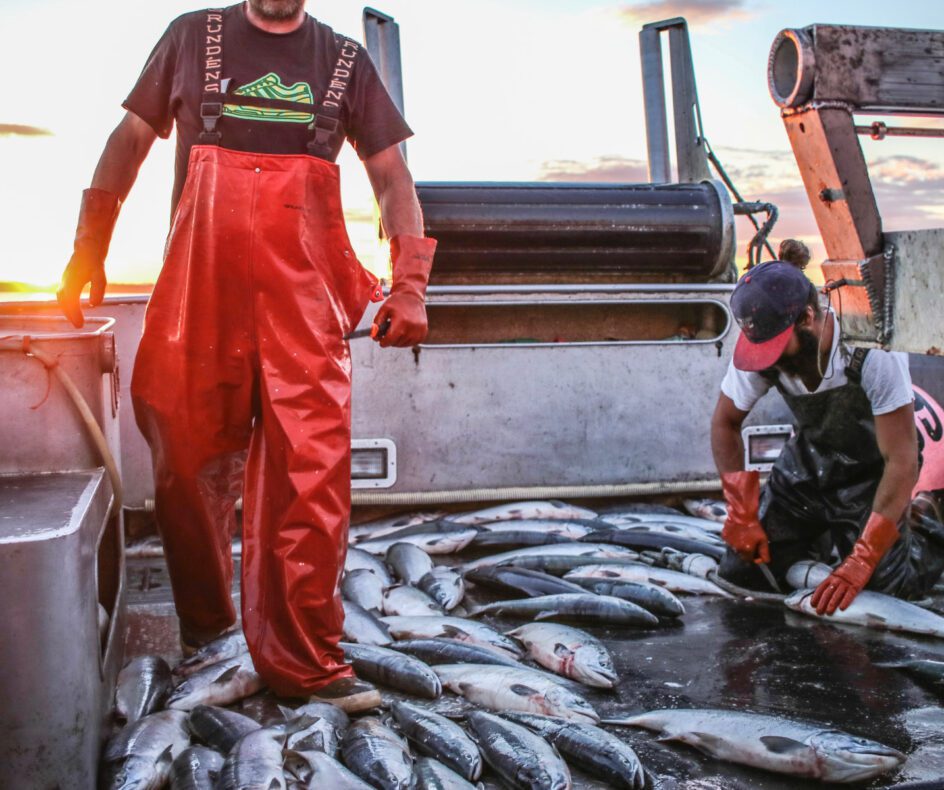 Alaskan salmon fishermen